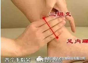 心慌气短？先堪堪足三里！