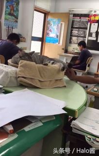 考试前睡一会觉好吗,考试的时候睡着