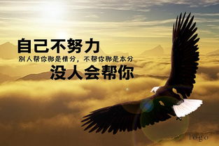 毅力到底是怎么把人生弄得七彩斑斓的——别说我没提醒你，这里全是乱七八糟的碎片