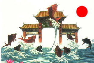 星座运势与跳跃成功率