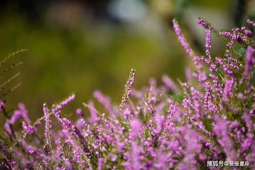 冻死人的冬天来了 但你的爱情可能诈尸
