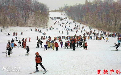 第三天: 雪乡初体验 (地狱模式开启)