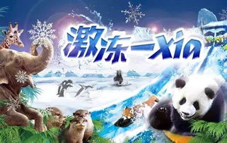 周末畅游，激情泳池等你来战！