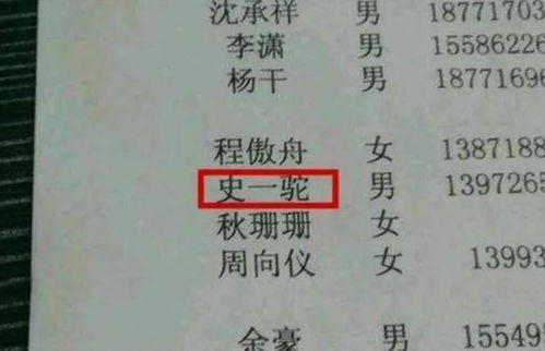 五、 参考传统方式文化底蕴与现代化审美