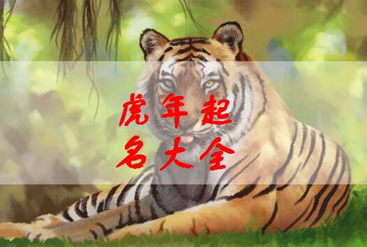 一些对比“正经”的名字（稍微良好一点点）