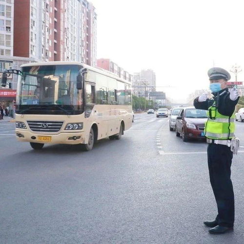 简阳交通：一场让人崩溃的奇幻冒险