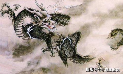 一、  属龙人的性格与五行属性
