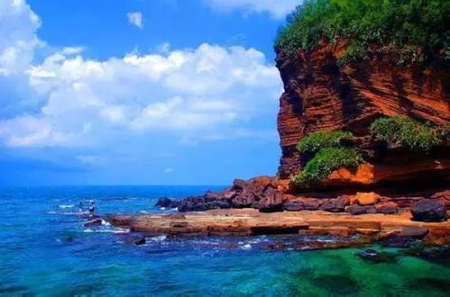 涠洲岛—火山岩与海胆共舞