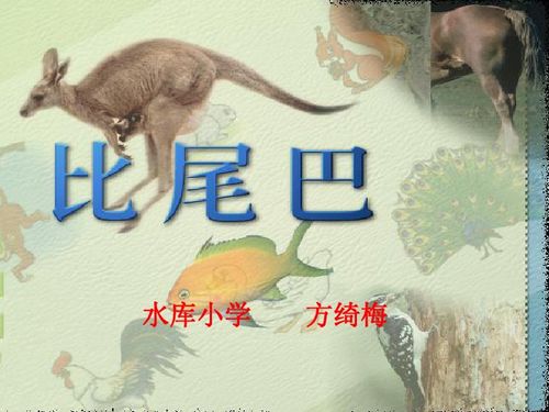 将车辙马迹打一生肖，是哪个生肖尾巴特长？