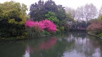 三、 西湖十景，探寻历史足迹，顺便走断腿