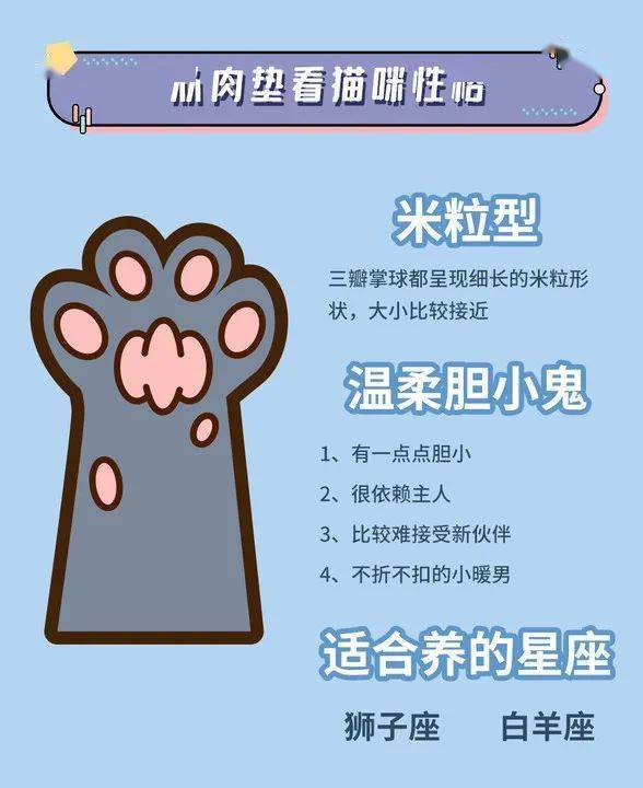 玄学急救包