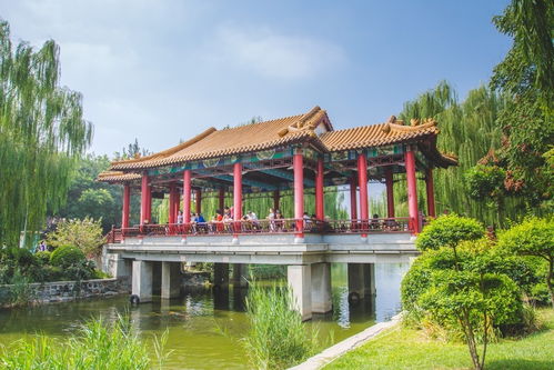震惊！南翠屏公园门票居然这么便宜？看完这篇攻略我哭了三天三夜！