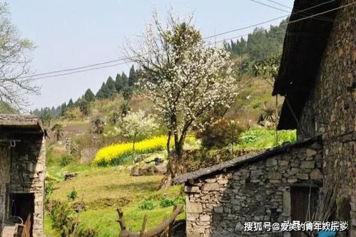 广西清明扫墓：一场祖坟蹦迪的千年狂欢