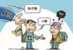 1.2 老人也会选“较高端”吗？