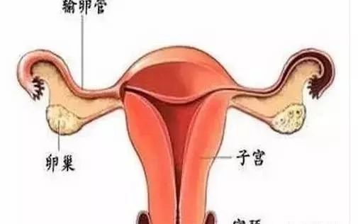 噪音与干扰：为哪些有时候疼得更厉害？