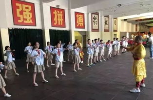 a) 基础招式区：轻巧松学起拳法