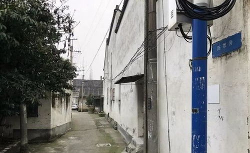 我炎热爱包头
