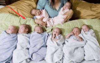 哎呀妈呀，这日子真实奇！2003年2月11日的羊到底是哪些路数？