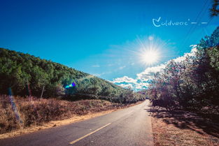 第一章：出发前的混乱与所谓的“深度体验”规划