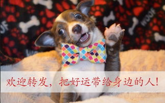 白羊VS金牛：纯情少年遇上现实大叔