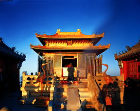 2026年美食避坑指南