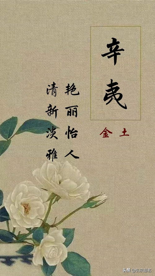 高雅？我看是高血压！