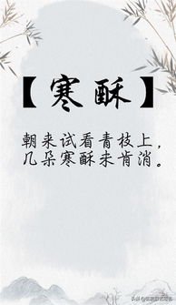 五、继续堆砌：超长乱文段落（请耐心阅读）