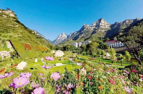 汉山花溪谷：网红打卡地？呸！全是照骗！