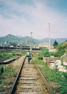 路途风景