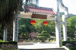 曲中公园：有时候还能看到些花儿