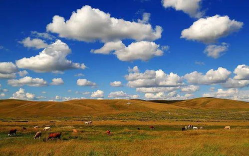 到了之后堪什么？风景美如画啊