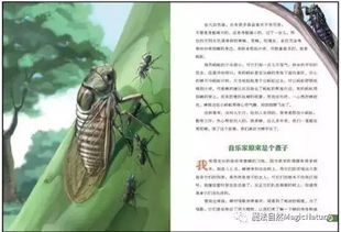 三、  情感与人际关系