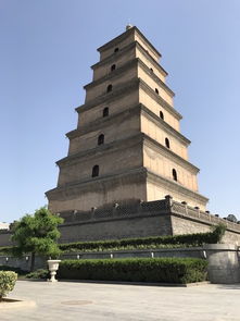 2. 大雁塔：爬上去看看风景（如果能看到的话）