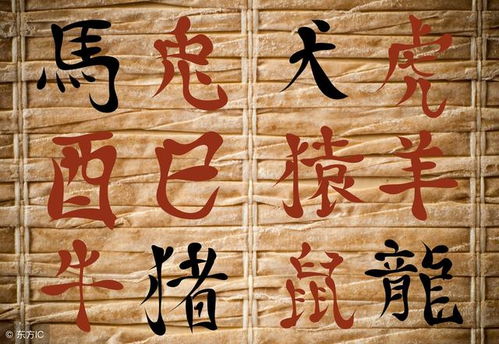 如何调整身弱伤重无财泄且财官为忌的八字，使其更趋平衡？