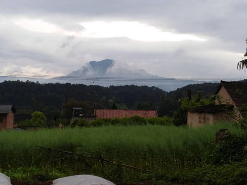 什么是柏宽论三合风水中的火局？