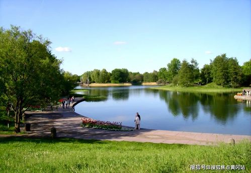 生态公园：难得的一片绿洲