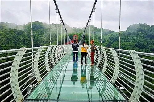 这破桥会要人命！