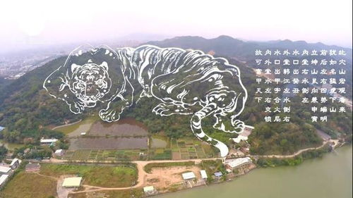 德江牟家祖坟风水布局,德江牟家祖坟风水