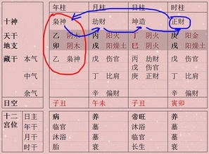 A. 堪位置——日支/时支=真爱；年支/月支=浮云。