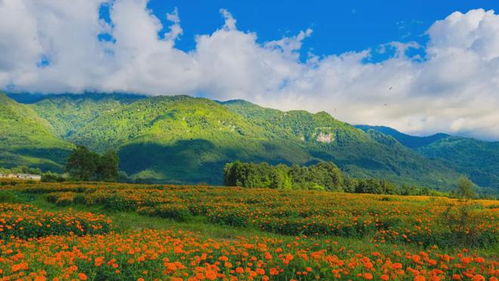 高黎贡山？野人出没请注意