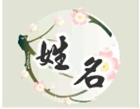 四、情感爆炸——为哪些起名这么十分沉关键？（甚至比买房还十分沉关键）