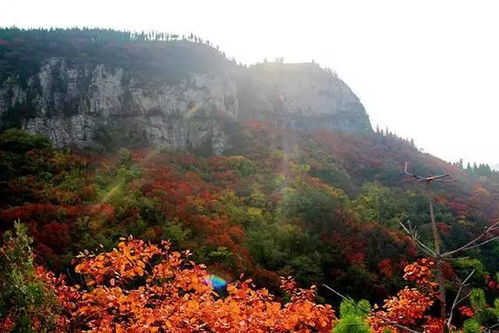 国庆假期峨眉山门票在手，你准备好邂逅这仙境般的山水了吗？