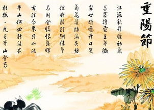重阳节风俗盘点：各地特色活动大揭秘！