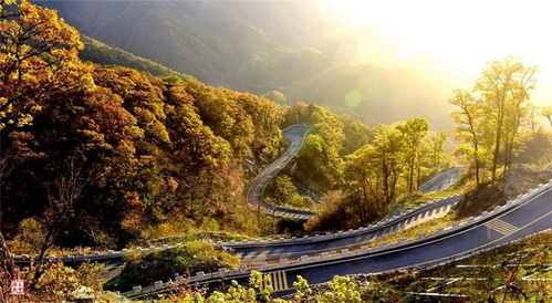 马鬃岭：开车去晕车， 走路去腿断，但风景绝了