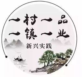 四、  定制化觉得能：这可是VIP待遇