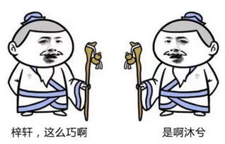 洪姓崭新生儿爆款名字到底叫啥？——一篇乱糟糟的起名自嗨文
