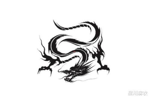 属蛇属兔的人今年多大，他们的运势如何，会有哪些变化？