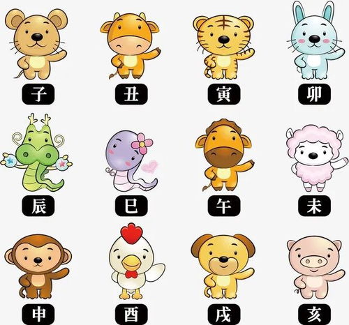 十二生肖中哪些属相代表权贵，哪位生肖地位最高？