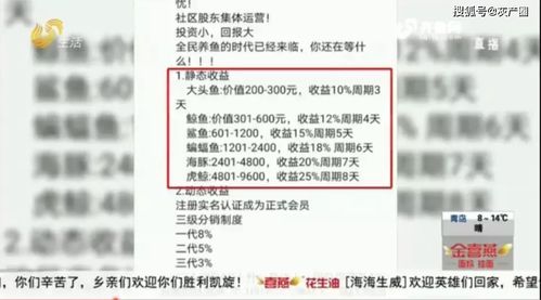 2026年1月有哪些宰年猪吉日推荐？