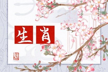 生肖与姻缘